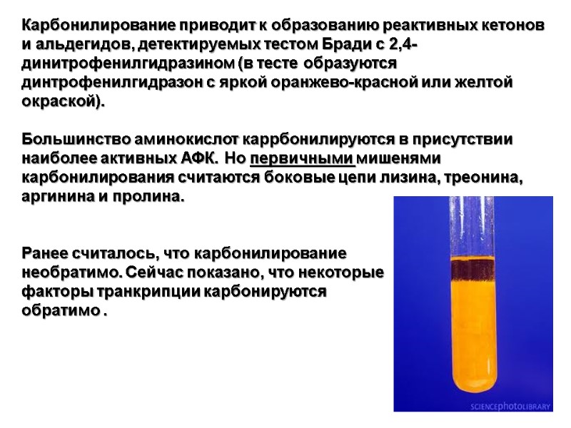 Карбонилирование приводит к образованию реактивных кетонов и альдегидов, детектируемых тестом Бради с 2,4-динитрофенилгидразином (в